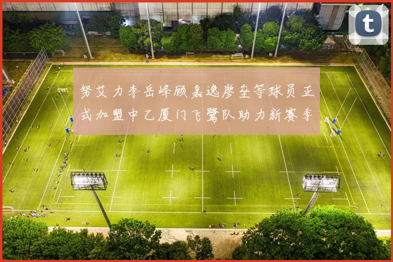 努艾力李岳峰顾嘉逸廖垒等球员正式加盟中乙厦门飞鹭队助力新赛季