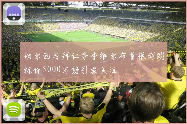 切尔西与拜仁争夺维尔布鲁根海鸥标价5000万镑引发关注