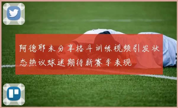 阿德耶米分享格斗训练视频引发状态热议球迷期待新赛季表现